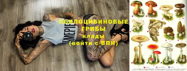 Альфа ПВП Алексеевка