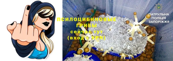 Альфа ПВП Алексеевка